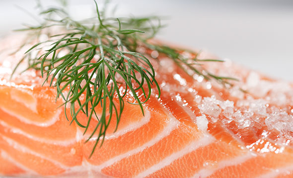 Organic Salmon Farmed in France